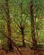 Деревья и подлесок 1887